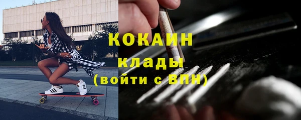 ГАЛЛЮЦИНОГЕННЫЕ ГРИБЫ Алзамай