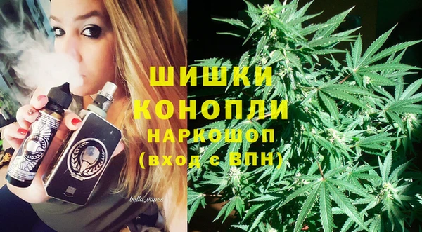 ГАЛЛЮЦИНОГЕННЫЕ ГРИБЫ Алзамай