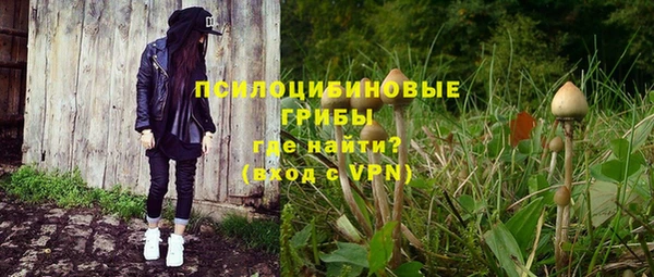 ГАЛЛЮЦИНОГЕННЫЕ ГРИБЫ Алзамай