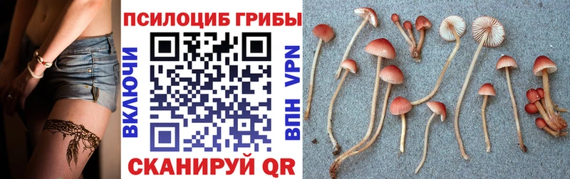 Псилоцибиновые грибы мицелий  Змеиногорск 